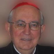 Agostino Vallini Agostino Vallini