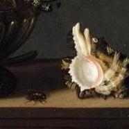 Ambrosius Bosschaert II