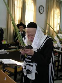 Aryeh Finkel