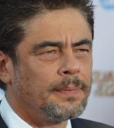 Benicio Del Toro