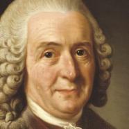 Carl Linnaeus