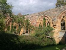 Catharine Of Pomerania