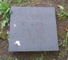 Cy Endfield