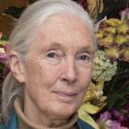 Dame Jane Goodall