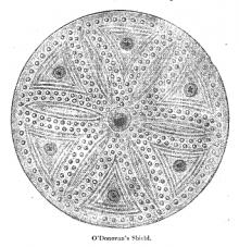 Domhnall II O Donnabhain