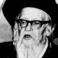 Dov Berish Weidenfeld