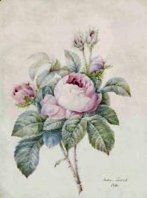 Ernestine Panckoucke