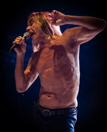 Iggy Pop