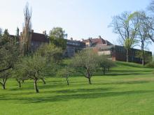 Inger Johanne Nossum