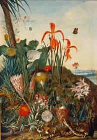 Laurens Jacobsz. Van Der Vinne