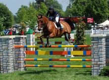 Margie Goldstein-Engle