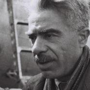Meir Yaari