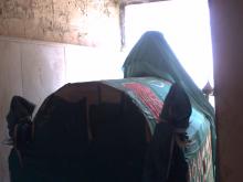 Muhammad Ibn Abu Bakr