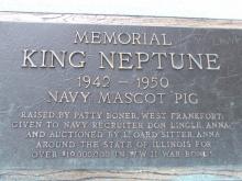 Parker Neptune