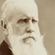 Pedro II