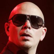 Pitbull Pitbull