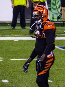 Reggie Nelson Reggie Nelson