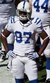 Reggie Wayne Reggie Wayne