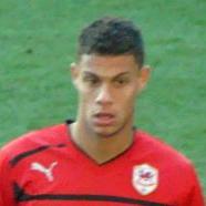 Rudy Gestede