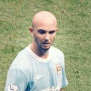 Stephen Ireland