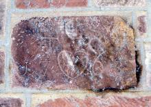 Thomas, Lt. Col Cadmus