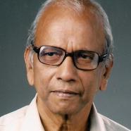 Vasudev Vaman Shenoy