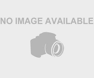 McCaughey Septuplets
