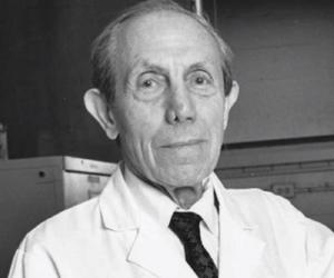 Paul Zoll