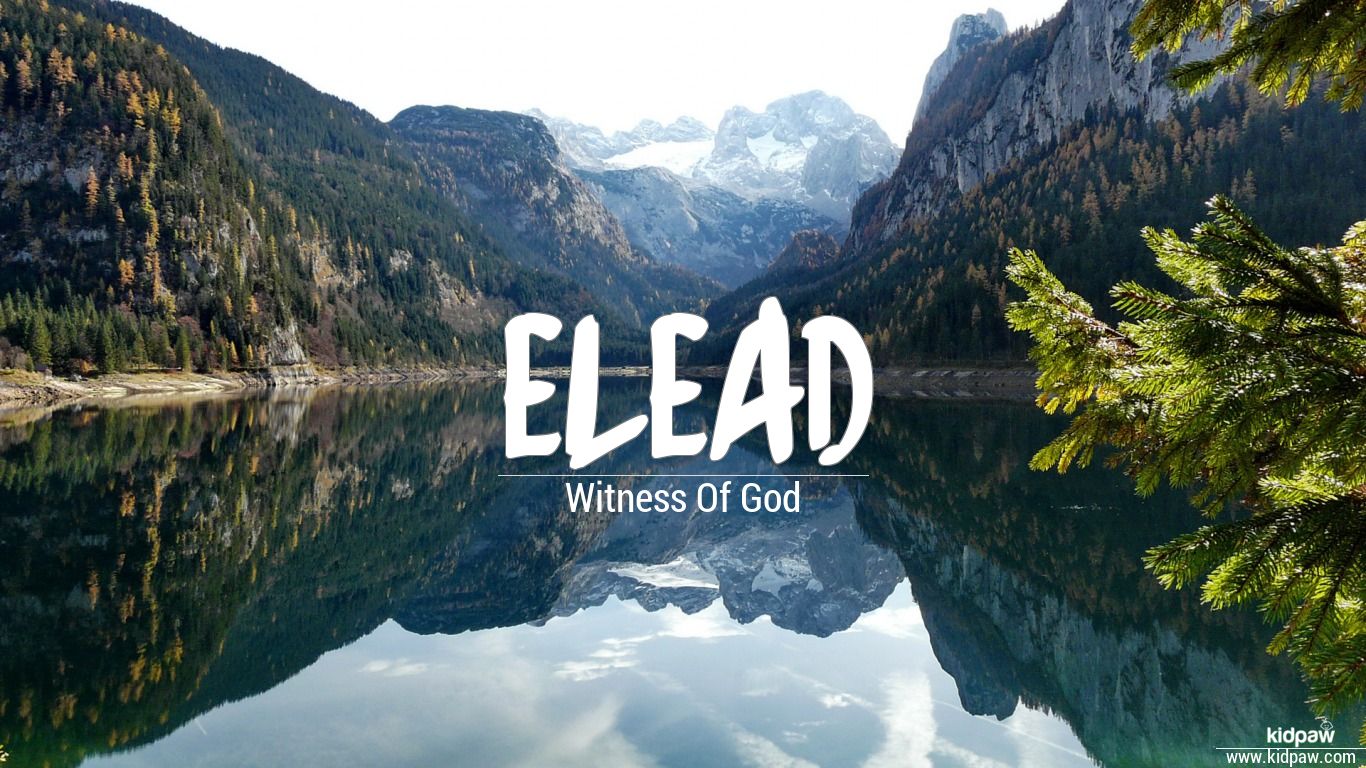 Elead Name Meaning in Urdu نام کی تفصیل، لکی نمبر