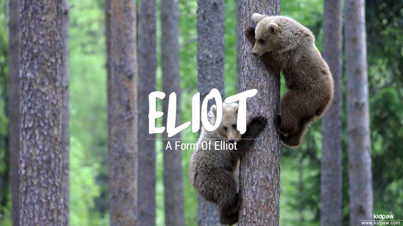 Eliot 3D Name Wallpaper for Mobile, Write Name on Photo Online