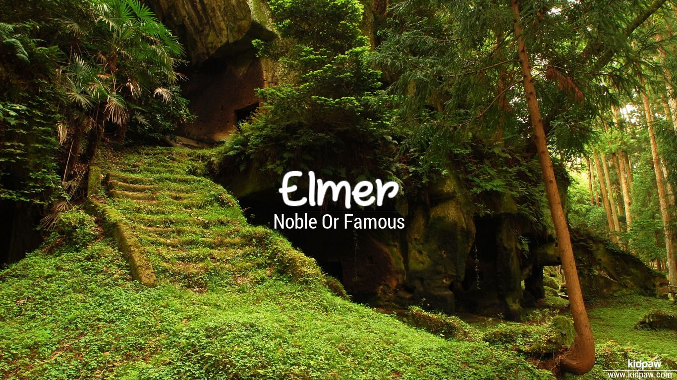Elmer Name Meaning in Urdu نام کی تفصیل، لکی نمبر