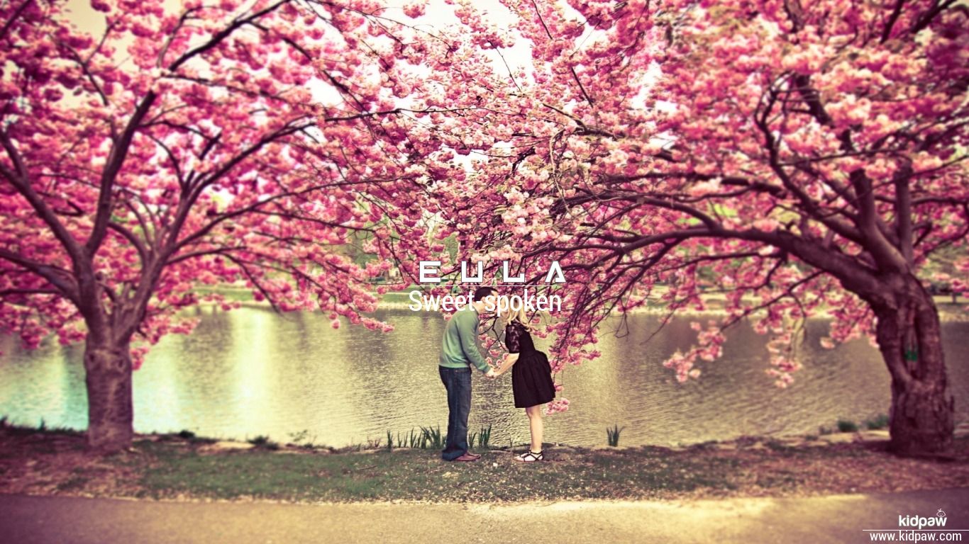 Eula Name Meaning in Urdu نام کی تفصیل، لکی نمبر