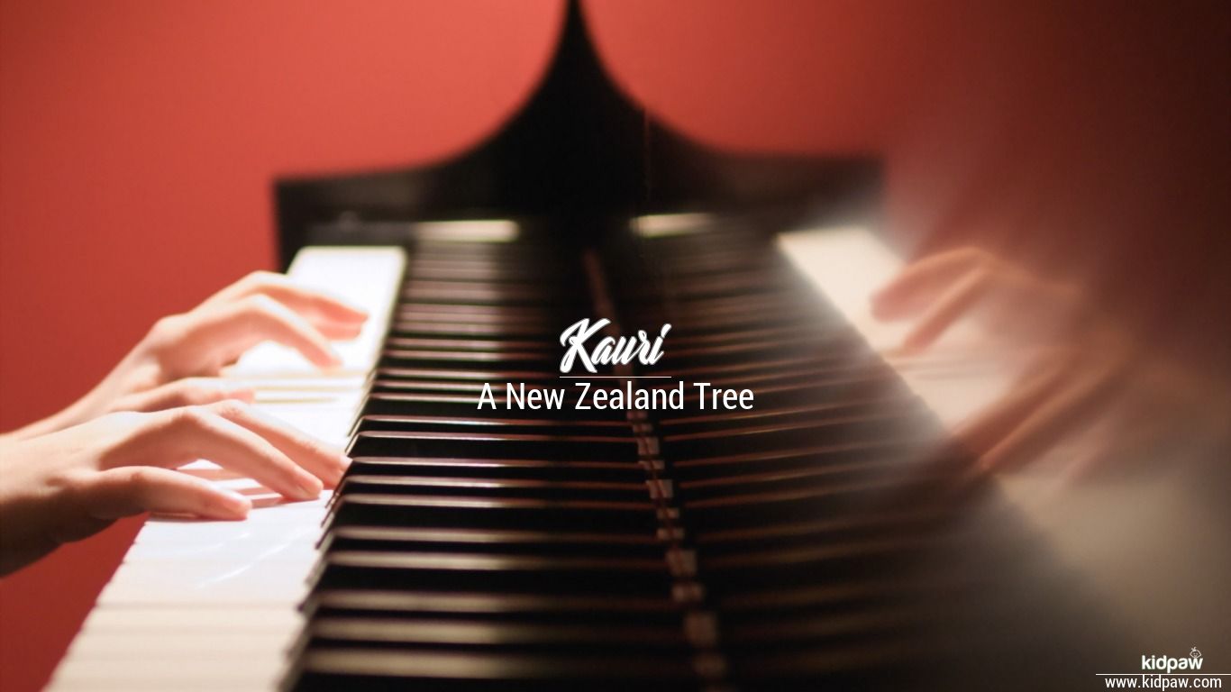 Kauri Name Meaning in Urdu نام کی تفصیل، لکی نمبر