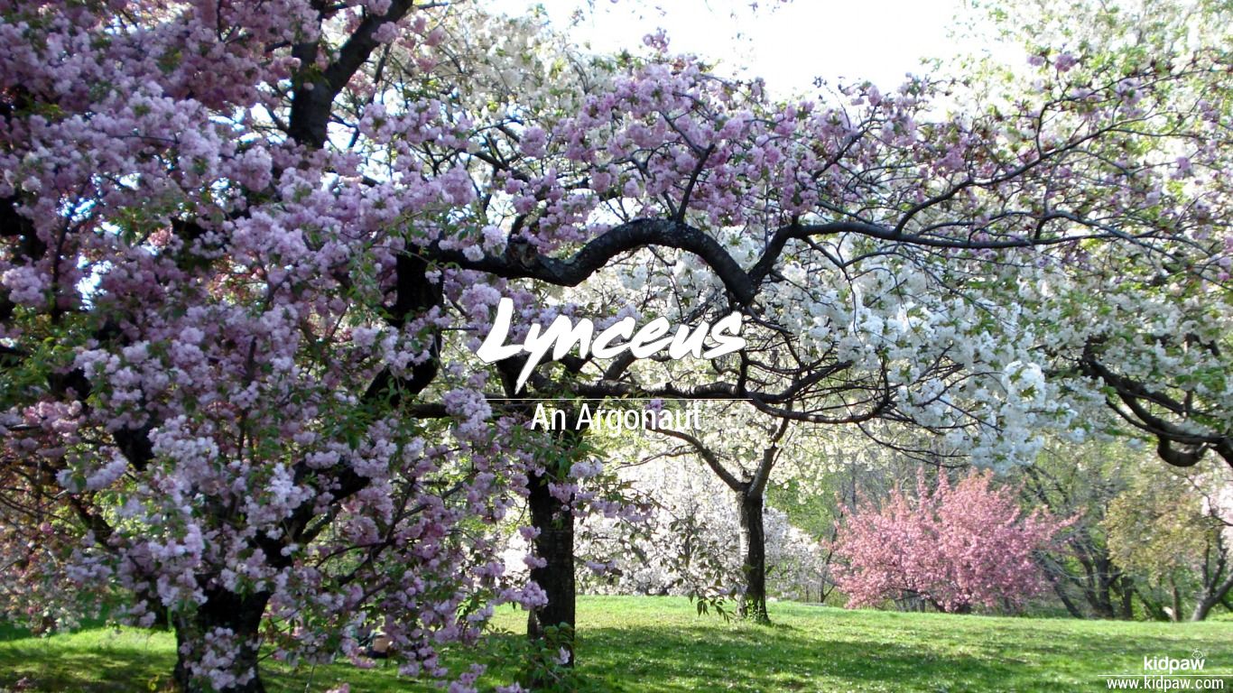 Lynceus Name Meaning in Urdu نام کی تفصیل، لکی نمبر