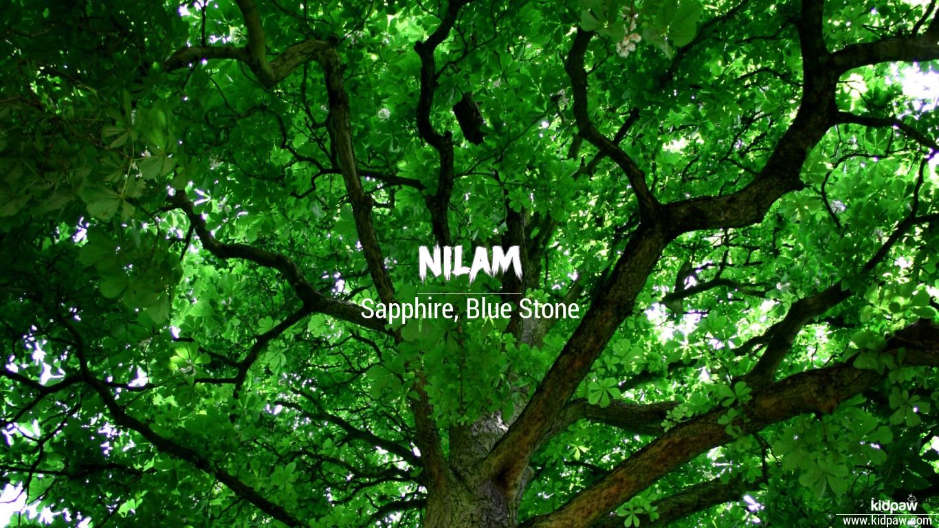 नीलम | Nilam Name Meaning in Hindi & English, Rashi, Nakshatra, Origin ...