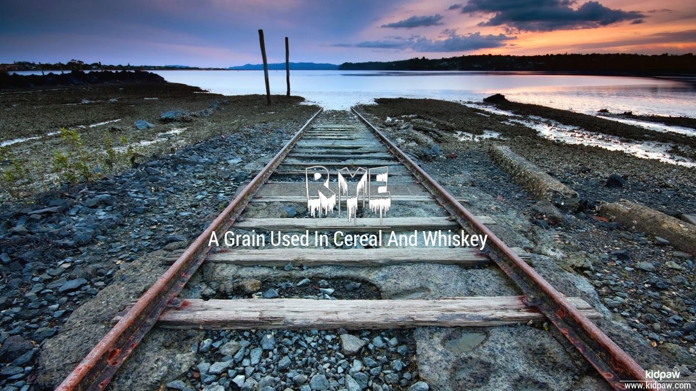 Rye Name Meaning in Urdu نام کی تفصیل، لکی نمبر