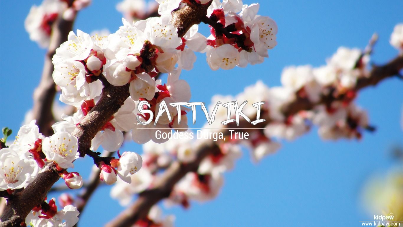 सात्त्विकी Sattviki Name Meaning in Hindi & English, Rashi, Nakshatra