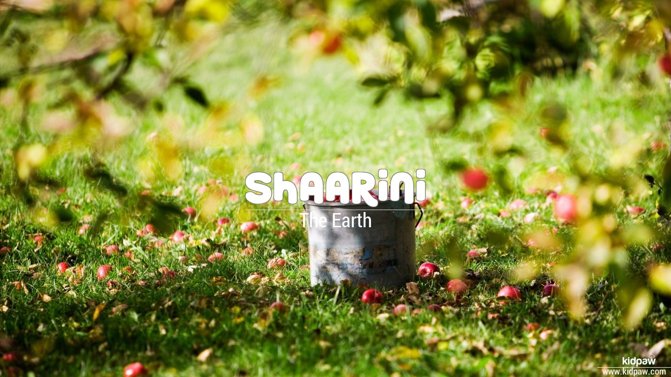 शारीनी Shaarini Name Meaning in Hindi & English, Rashi, Nakshatra
