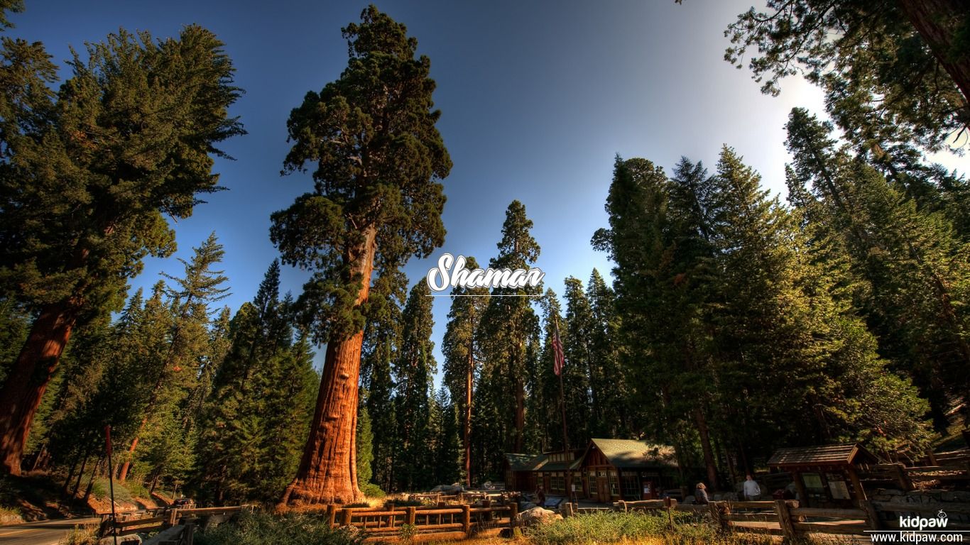 Shamar 3D Name Wallpaper for Mobile, Write Name on Photo Online